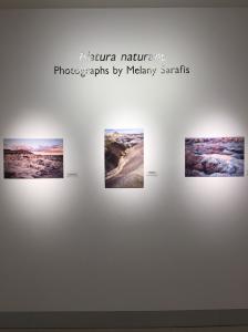 Natura Naturans - Photographs By Melany Sarafis